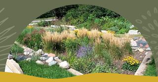 Davenport library offers programs on rain gardens