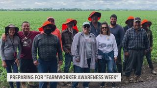 Nonprofit gearing up for Farm Worker Awareness Week | News 8 Now