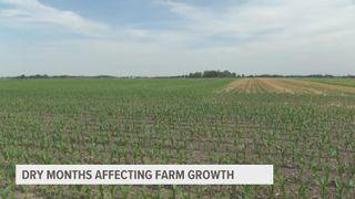 Unusually dry May is impacting eastern Iowa farmers' crops