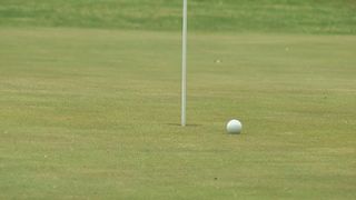  Palmer Hills Golf Course to open Wednesday