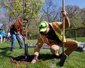 Four takeaways from Moline's Parks Department annual report