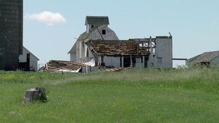 Aftermath of severe weather on QCA farms