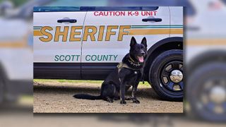  Sheriff after K9 dies: Spike, we’ll take the watch from here