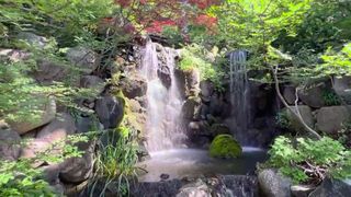 Destination Illinois: Anderson Japanese Gardens