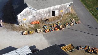  Buffalo Pumpkin Farm and Market invites public out as season comes to a close