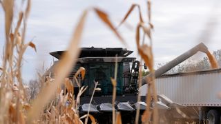  Retaliatory tariffs: How an Iowa farmer is preparing