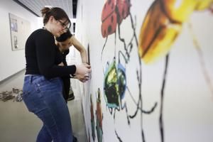 Augustana biology students install new, beetle-themed mural; promote insect conservation