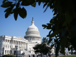 'Mad House' exposes Congressional disfunction, from petty feuds to physical threats