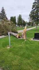 NWS CONFIRMS multiple tornadoes from Sunday night near the Quad Cities