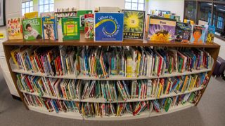 State of Illinois grants help QCA school libraries with resources