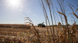  Pesticide manufacturers ask lawmakers for immunity from lawsuits by sick farmers  