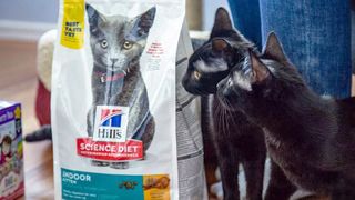 Humane Society of Scott County seeks help filling food pantry