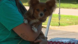 Quad City Animal Welfare Center holds a vet van clinic in Davenport