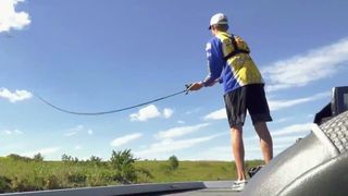 The Heart of the Story: Fishing frenzy