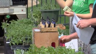 Enjoy all things homegrown and handmade at the QC Farmers Market