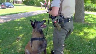 What House Bill 3140 could mean for retired Illinois K-9 care