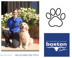Sterling comfort dog has new leash on life