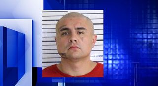 Davenport man arrested after striking, damaging squad car