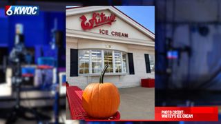  Whitey’s Ice Cream brings back pumpkin treats for the season 