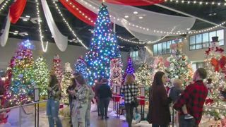 What new for the Quad City Arts Festival of Trees?