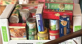 Project NOW, Rock Island County townships provide food relief