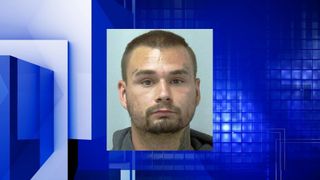 Dixon man arrested on firearm charges