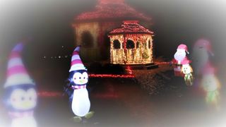Enjoy holiday lights at Weed Park, Muscatine