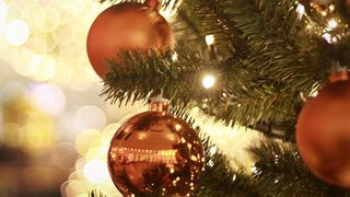  Project Peace Tree honors hospice patients during holiday season