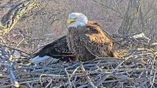 The Heart of the Story: Help from an 'eagle eye'