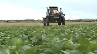  China buys 1 million tons of soybeans, but farmers say prices still unprofitable