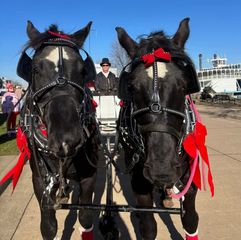 Enjoy the holidays in LeClaire