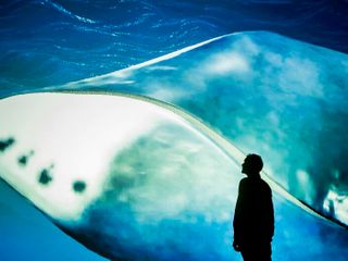 A bowhead whale's DNA offers clues to fight cancer