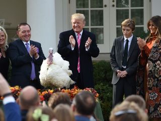 A tradition for turkeys: Another presidential pardon