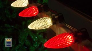 Cambridge gears up for Village on the Square festivities