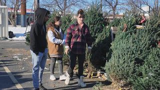  Christmas tree sale supports Quad Cities youth and charities