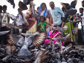 A ban on feeding pigeons ruffles lots of feathers in Mumbai
