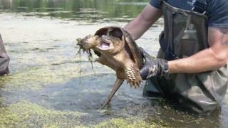 The Heart of the Story: Earning while learning