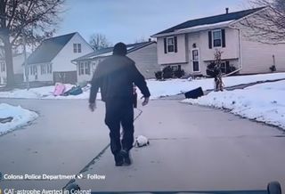WATCH: CAT-astrophe avoided! Colona officer rescues cat with can on its head