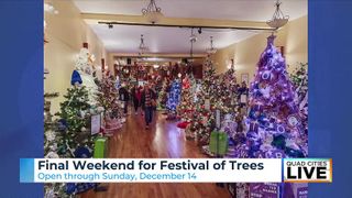  Savanna lights up the season with drive-through holiday displays, family events