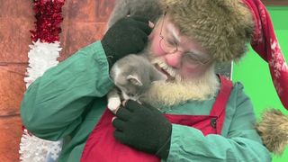 QCA pets meet Santa for a good 'paws'
