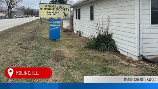  Animal Aid Humane Society raising funds for new Milan shelter 