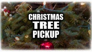 Galesburg announces return of Christmas Tree recycling program
