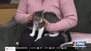  Tuesday’s adoptable pet: Meet Grace