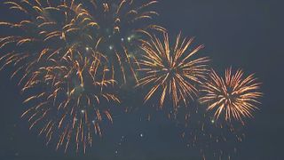  Shelters urge pet safety ahead of New Year’s Eve fireworks 