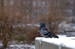 December is behind us and here's what to expect for January