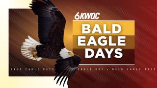  Bald Eagle Days set to swoop into Quad Cities