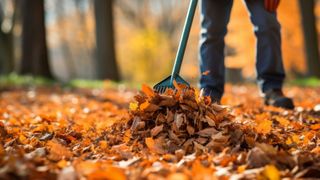 City of Muscatine to resume fall leaf collection