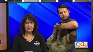  Bald Eagle Days Returns to QCCA Expo Center this weekend