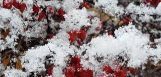 Winter weather returns to the Quad Cities