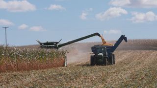 Farmland values plateau after years of growth as farmers face income challenges